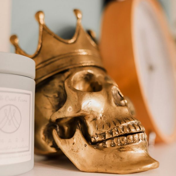 Revive Aesthetics Academy MD Codes Gold Skull